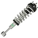 McPHERSON COLUMN (SHOCK ABSORBER, COIL SPRING, MOUNTS) - FRONT