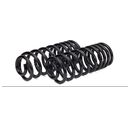 Rear Coil Spring Conversion Kit - 03-09 Hummer H2