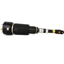 Taastatud esimene amort SPORT 04-09 XJ8