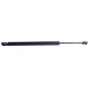 TAILGATE SUPPORT STRUT