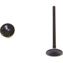 EXHAUST VALVE