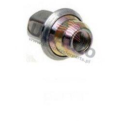 H 10061N RAY