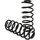 Rear Coil Spring Conversion Kit - 02-09 Bravada/Envoy/Rainier/Trailblazer/Saab 9-7(113in  WB)