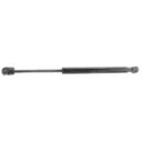 TAILGATE SUPPORT STRUT
