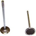 INTAKE VALVE